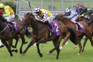 Surely Sacred (NZ) Scores Spectacular Guineas Win. Photo: Trish Dunell.